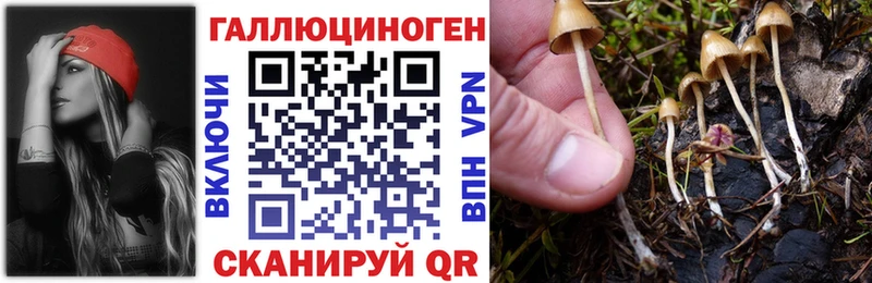 Псилоцибиновые грибы MAGIC MUSHROOMS  Пролетарск 